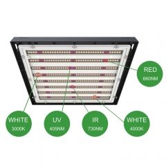 High Quality Led Grow Light For Growing Plants Indoors Hydroponic Poppy Greenhouses Fruits Vegetables